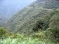 Yungas road